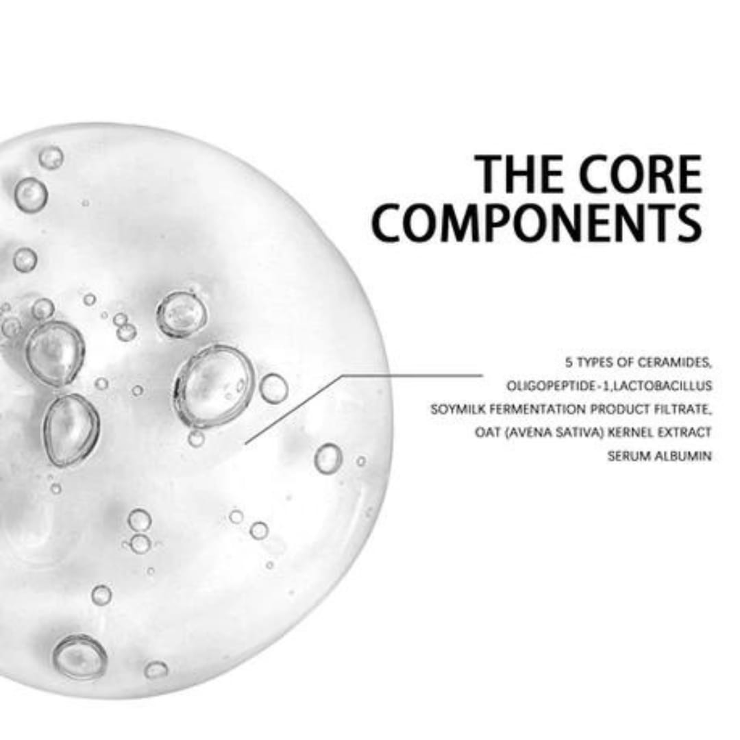 WhatsApp Image 2023-12-21 at 3.35.09 PM