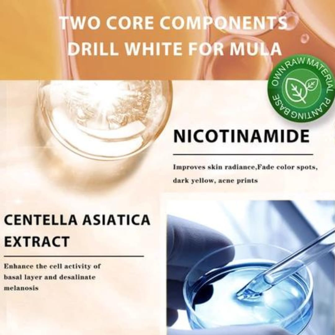 WhatsApp Image 2023-12-21 at 3.58.40 PM (1)