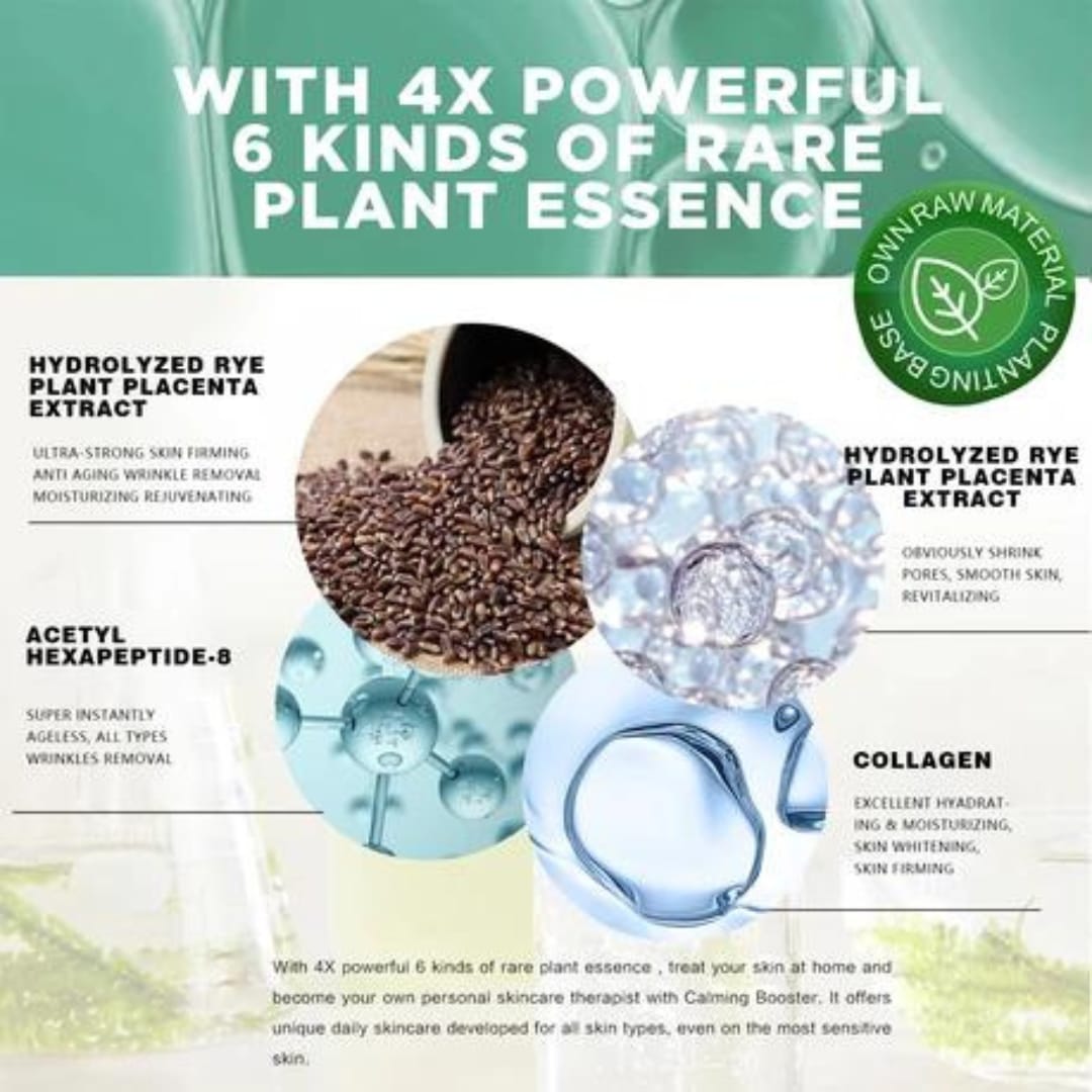 WhatsApp Image 2023-12-21 at 4.04.22 PM (1)