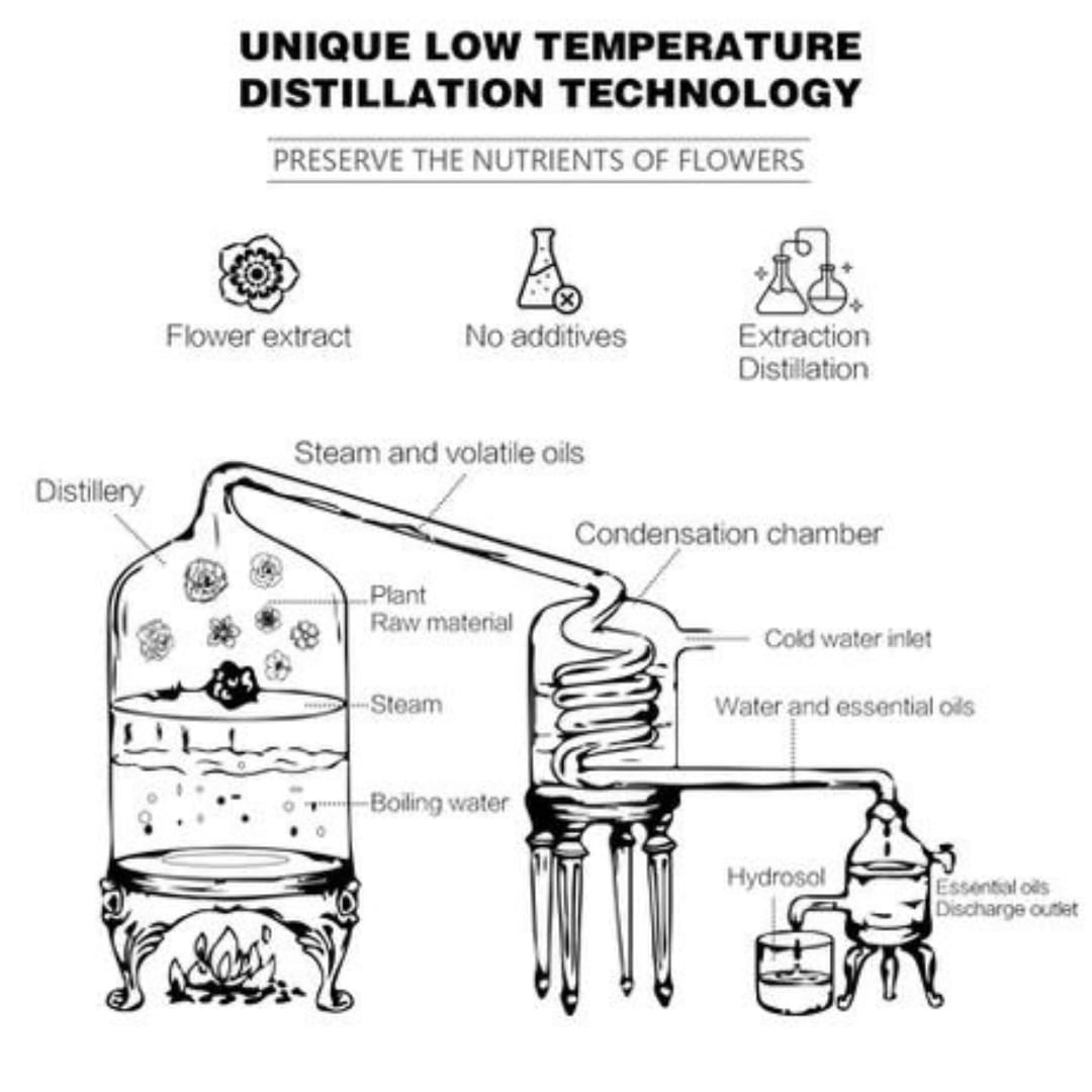 WhatsApp Image 2023-12-21 at 4.11.48 PM